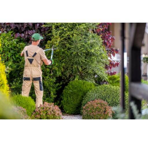 Garden Hedges being Cut | Building Material Reviews