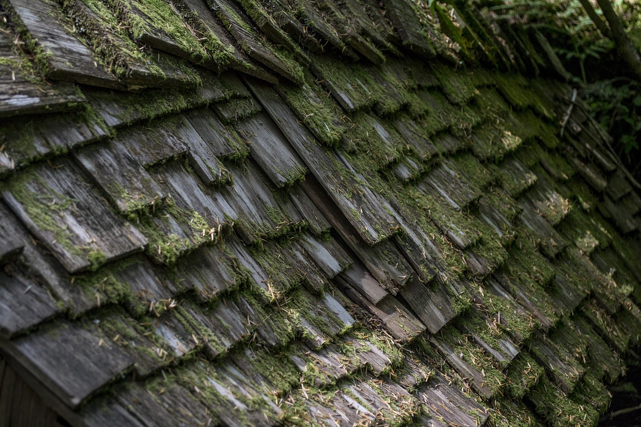 Are Cedar Shingles A Popular Choice For UK Homes?