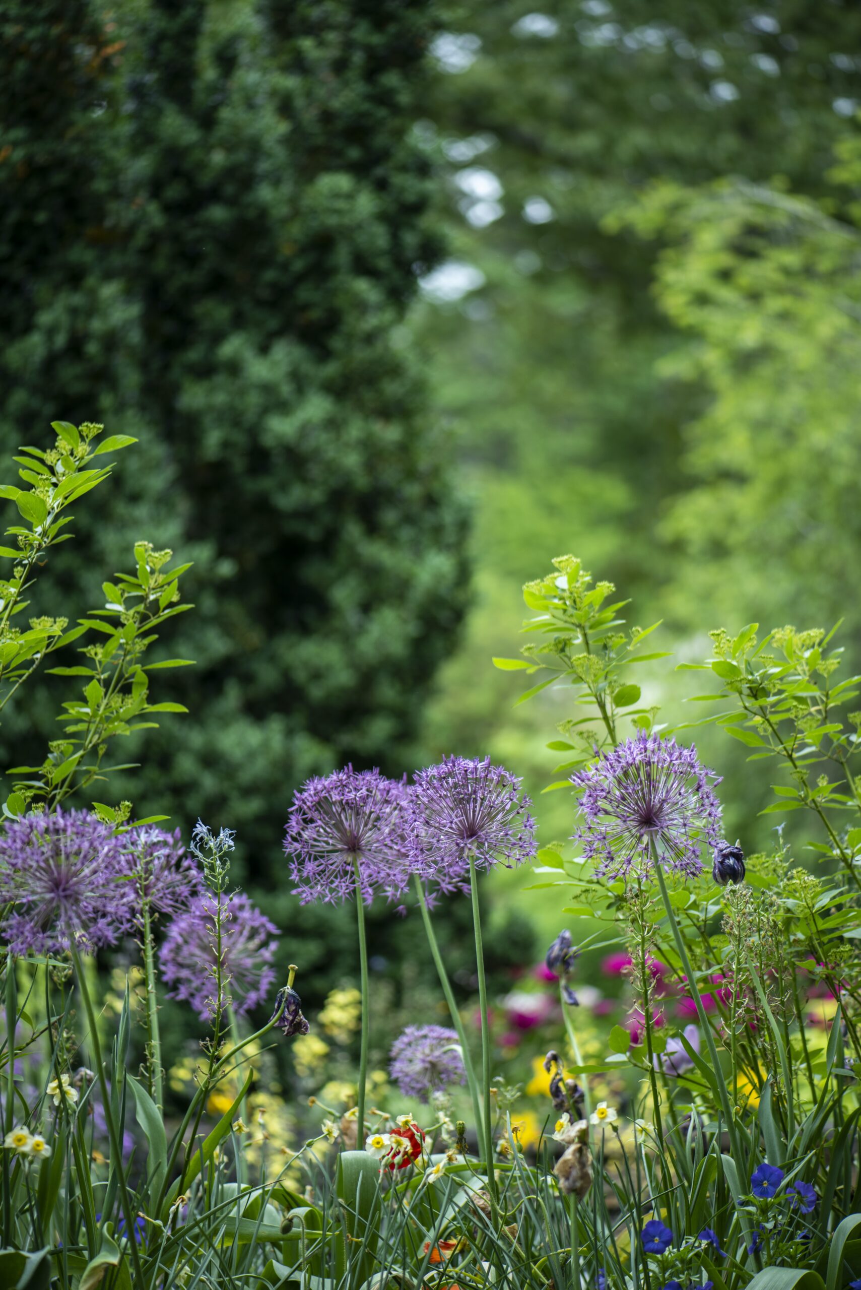 Are There Specific Materials Recommended For Garden Rooms Or Conservatories?