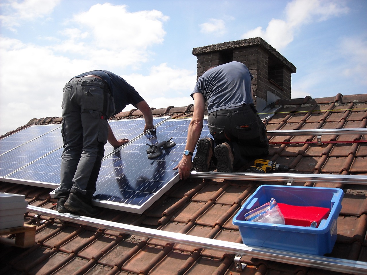 What Are The Reviews On Green Roofs In Londons Urban Constructions?