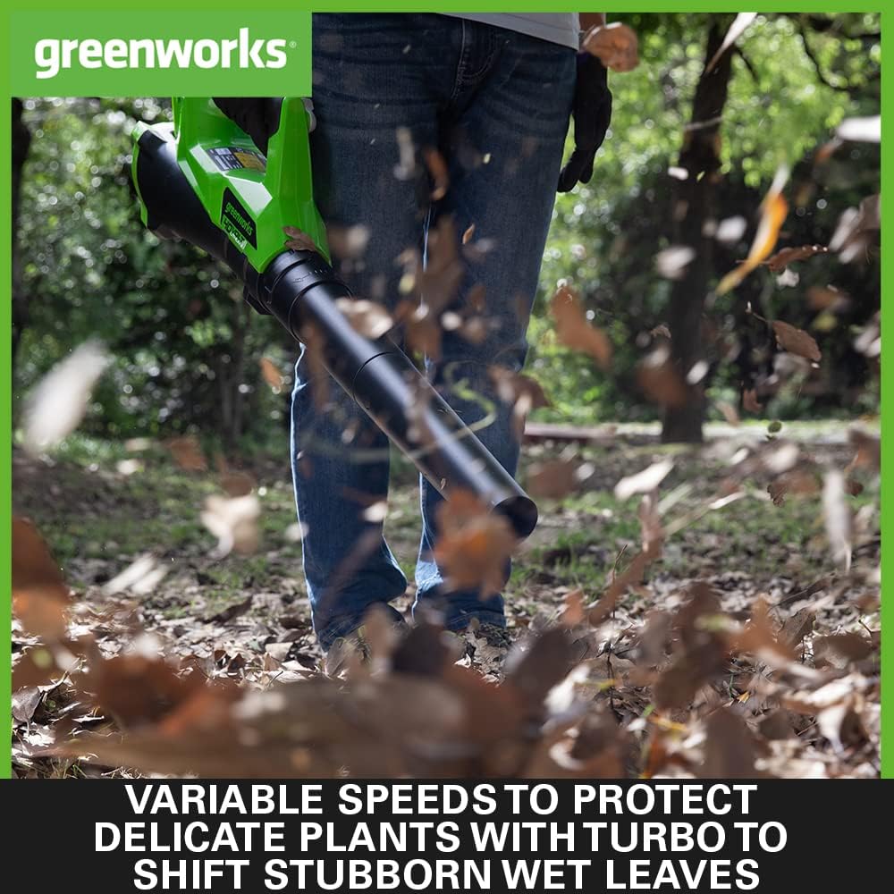 Greenworks Cordless Leaf Blower with Cruise Control, Lightweight Axial Leaf Blower 177km/h 11.05m3/min, 40V 2Ah Battery Charger, Electric Leaf Blower Cordless Garden Blower, 3 Year Guarantee G40ABK2