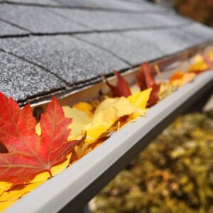 House Gutter full of Leaves | Building Material Reviews