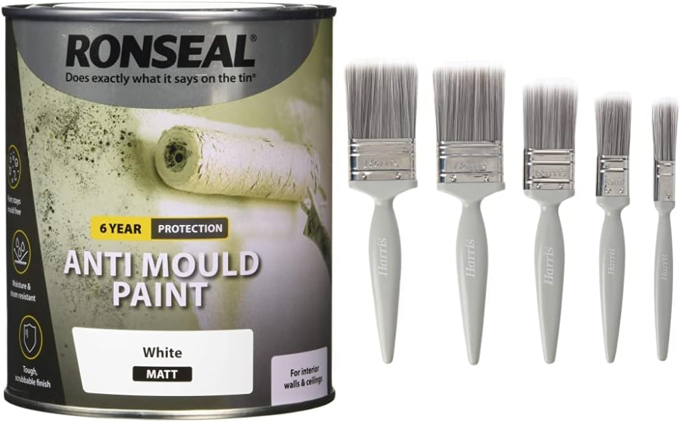 RONSEAL AMPWM750 Anti Mould Paint White Matt 750ml