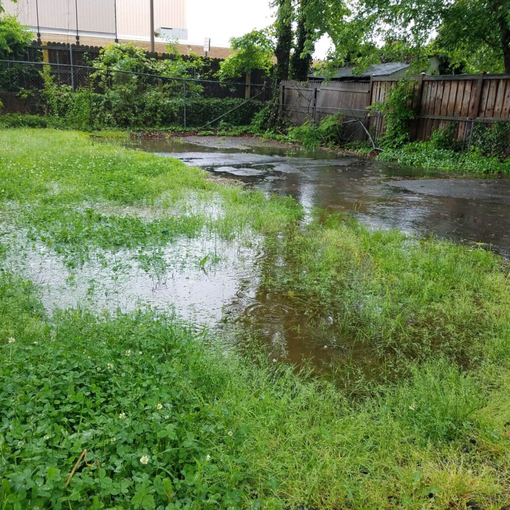 Garden under floodwater | Building Material Reviews