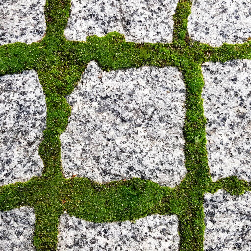 Paving Slabs embedded on Grass | Building Material Reviews 