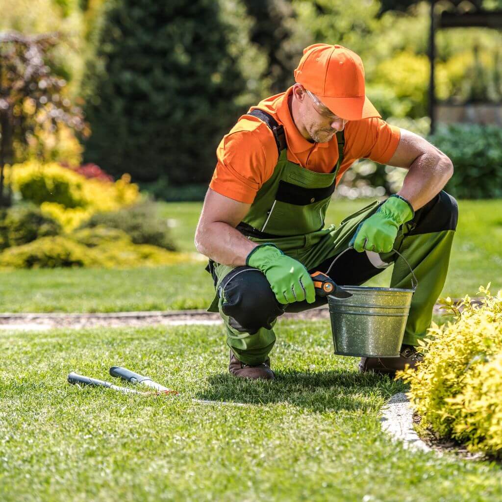 Professional Landscaper | Building Material Review 