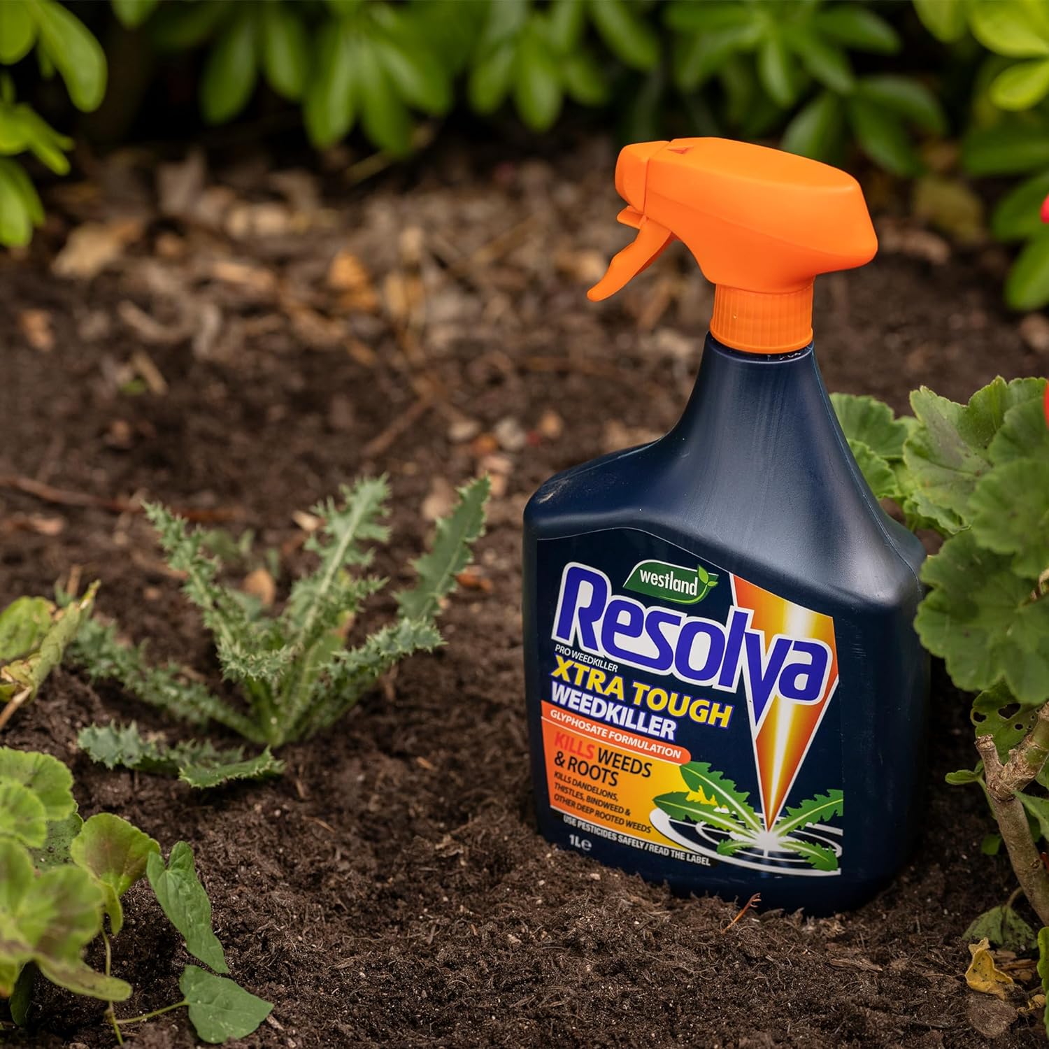 Resolva 20300383 Pro Ready To Use Weed Killer, 3 Litre, Transparent