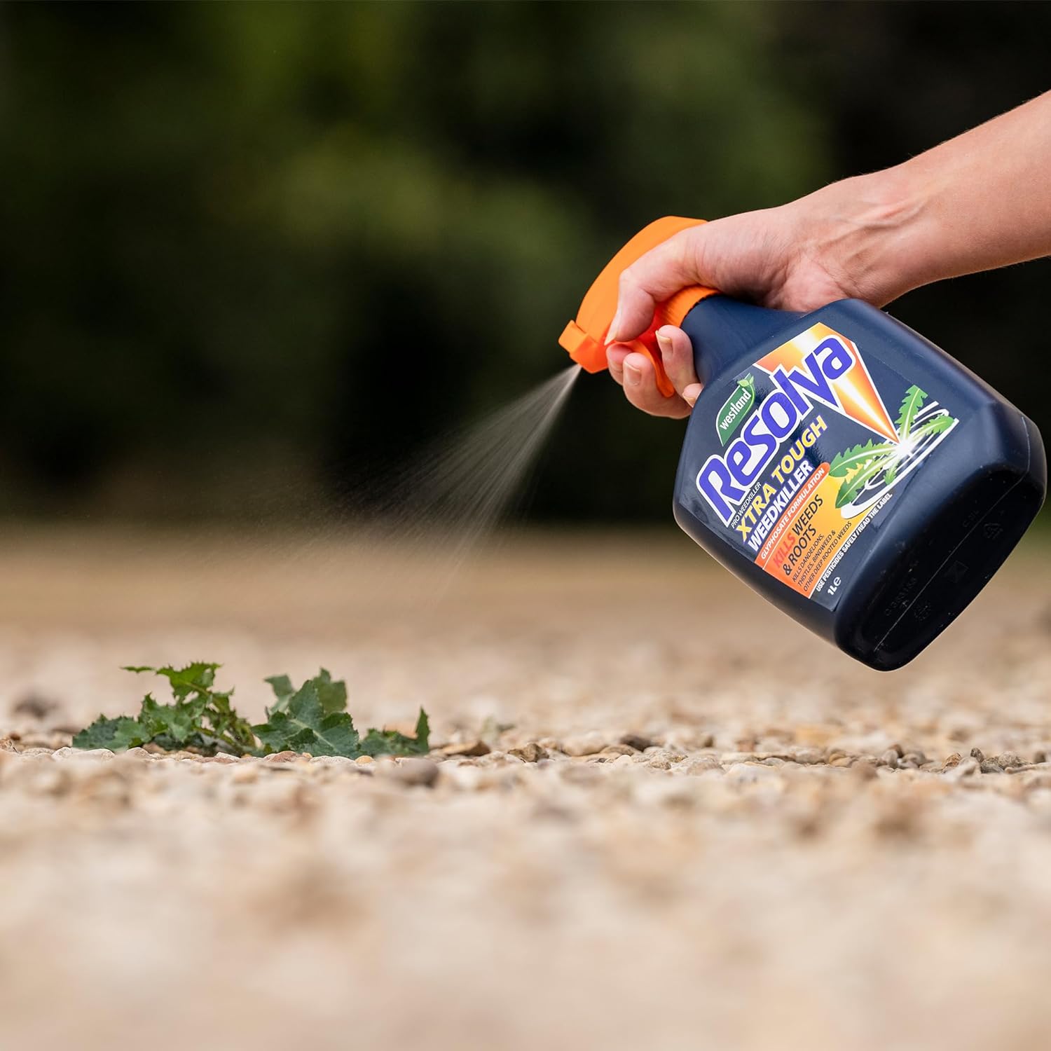 Resolva 20300383 Pro Ready To Use Weed Killer, 3 Litre, Transparent