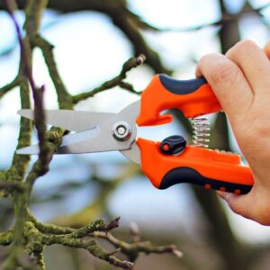 Person cutting Tree Branch | Building Material Reviews 