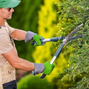 Man pruning Hedge in Spring | Building Material Reviews 