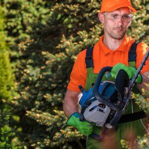 Man Trimming Hedge | Building  Material Reviews