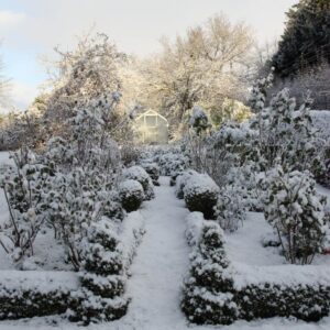 Snow covered Garden | Building Material Reviews 