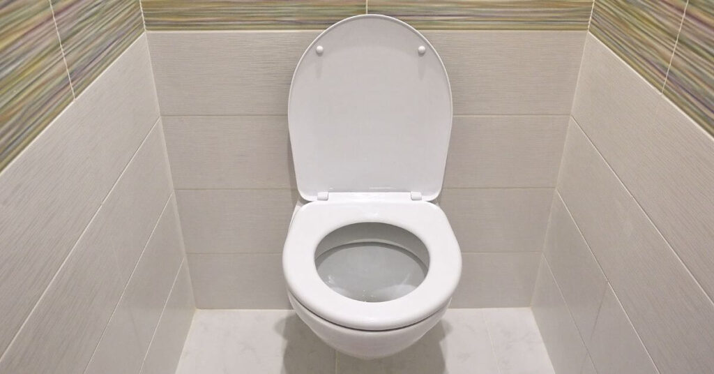 freestanding white toilet in tiled room | building material reviews 