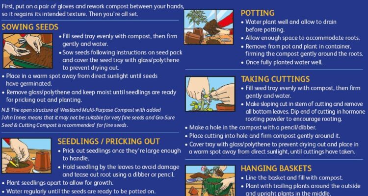 westland multipurpose compost with added john innes review