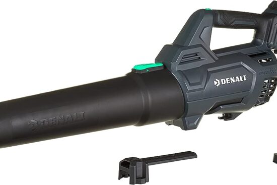 denali by skil 18v leaf blower kit review