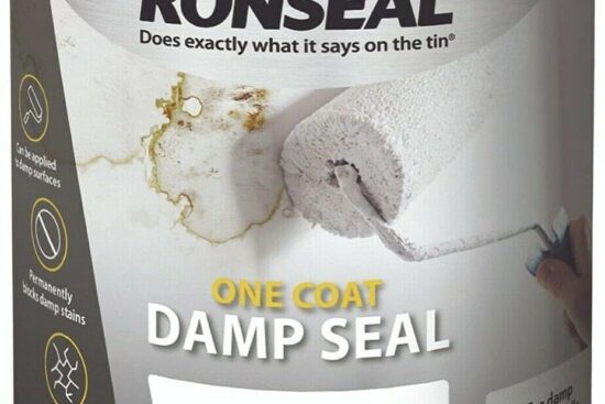 ronseal one coat damp seal white 250ml review