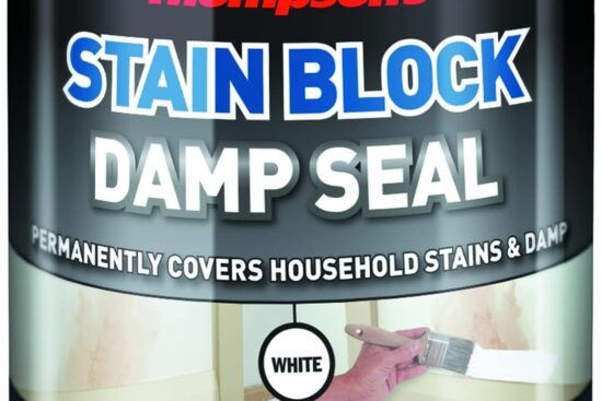 tds250 250ml thompsons damp seal review