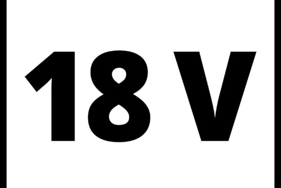 einhell power x change 18v cordless drill and impact driver set with 2 x batteries charger and storage bag te cd 1844 li 2