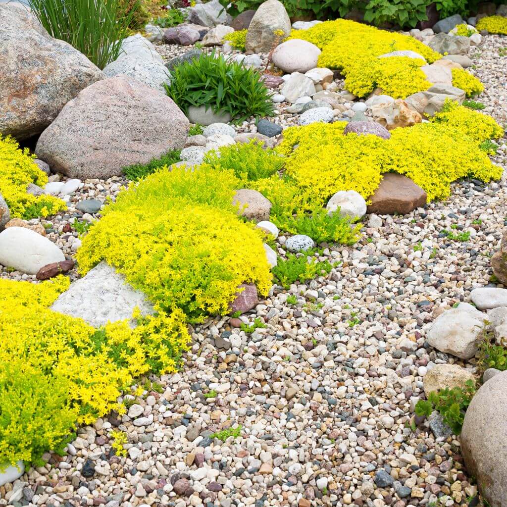 Gravel Garden | Building Material Reviews