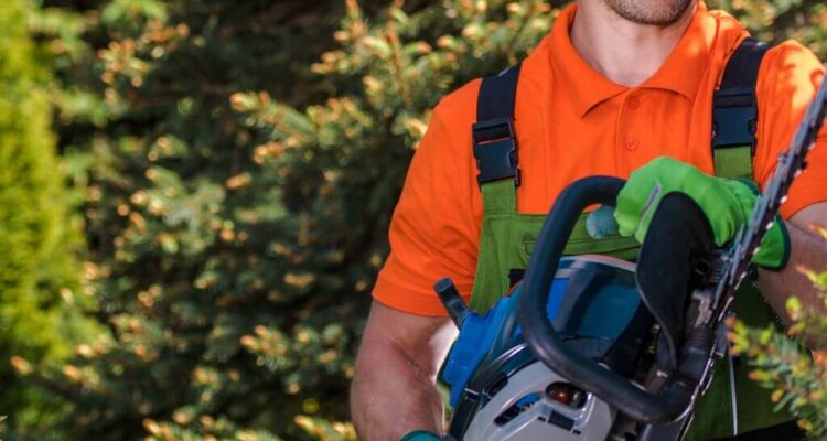 Man pruning shrubs and trees | Building Material Reviews