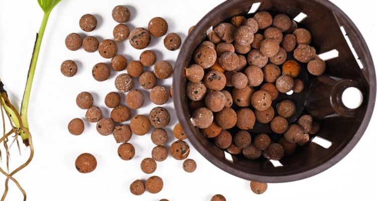 clay pebbles hydroponic growing substrate review